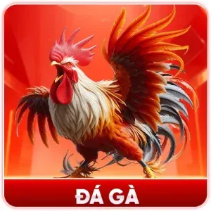 cm88 đá gà xuyêm biên giới